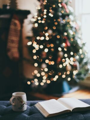 BookTok favoriti i cozy klasici za savršene blagdanske kućne večeri